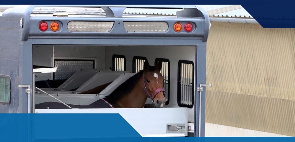 International Horse Transport Worldwide