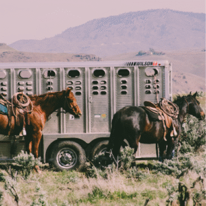 Horse Trailers for Sale
