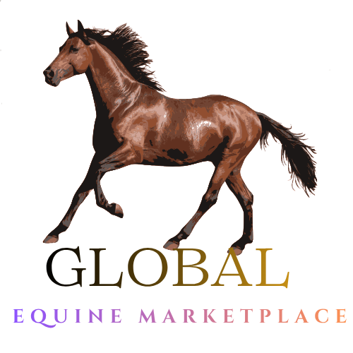 Horses for Sale Worldwide | Global Equine Marketplace