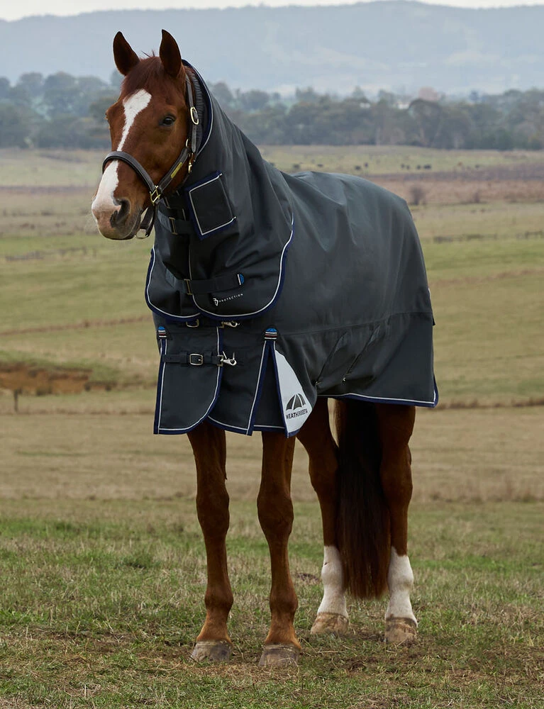 horse equipment for sale worldwide