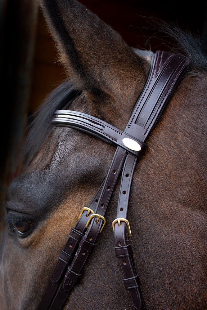 Bridles and Reins for Sale Worldwide
