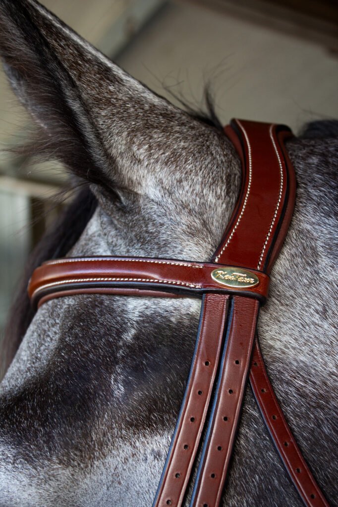 🐴 Bridles and Reins for Sale Worldwide