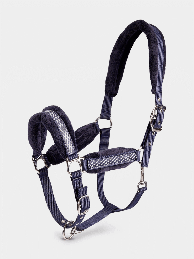 Horse Transport Accessories for Sale Worldwide