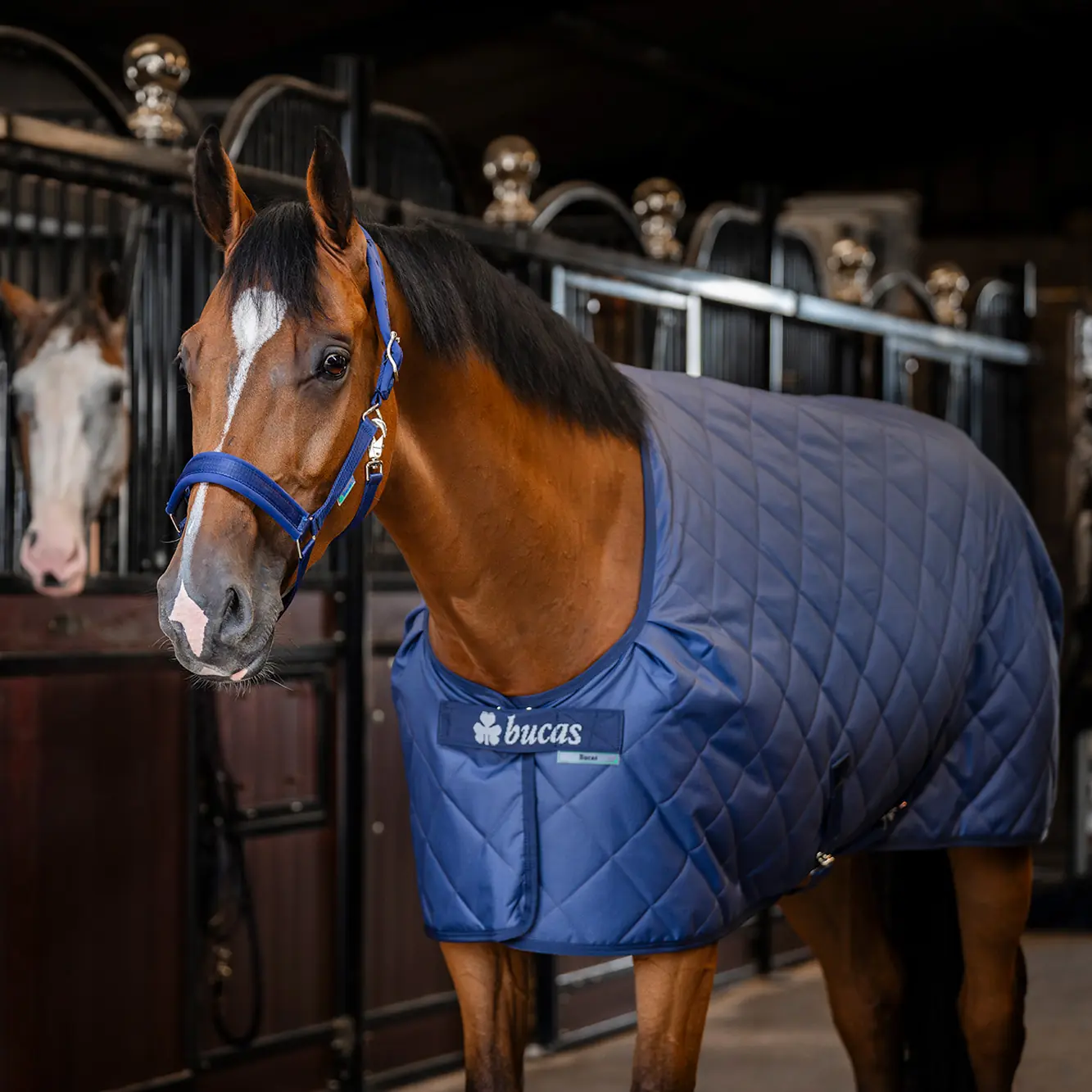 Trusted Equestrian Brands Available