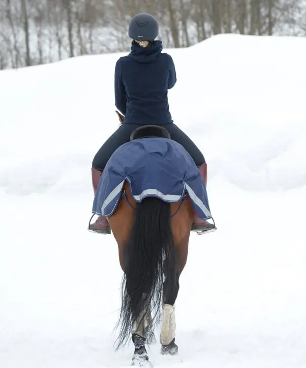 Bucas Horse Blankets for Sale