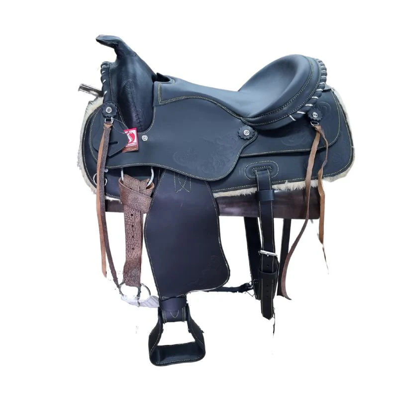 Western Saddles for Sale Worldwide