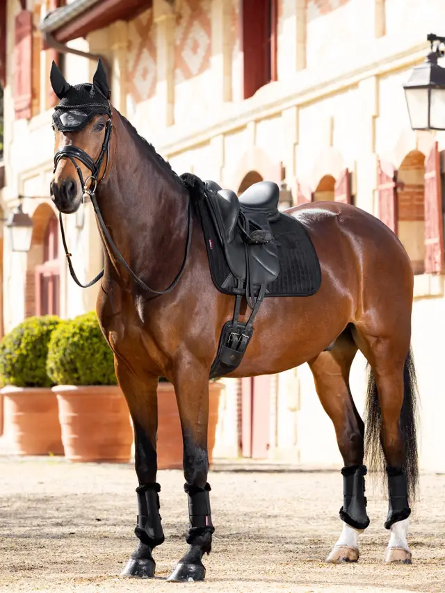 horse equipment for sale worldwide