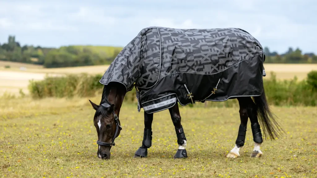 lemieux equestrian accessories for sale