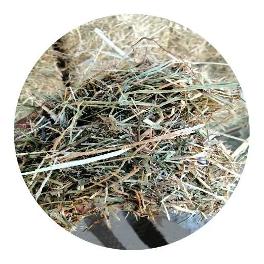 14% Soy-Free All Stock Pellet (Non-GMO) — for sale worldwide | Global Equine Marketplace