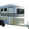 2-horse-angle-load-float-warmblood 2-horse-angle-load-float-warmblood