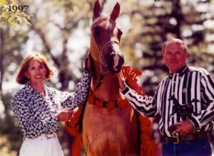 Acheter des balles de foin de luzerne à vendre - Foin Suprem — for sale worldwide | Global Equine Marketplace