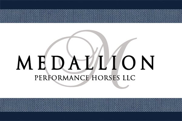 Arabian Horse Stud Farms: How to Choose | Global Equine Marketplace