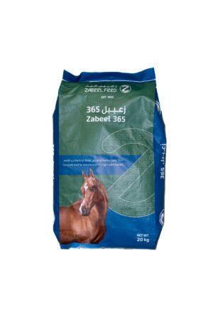 Best Food for Racing Horse for sale worldwide - Global Equine Marketplace Best Food for Racing Horse for sale worldwide - Global Equine Marketplace