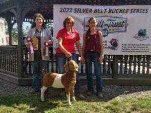 Boer Goats- Frequently Asked Questions — for sale worldwide | Global Equine Marketplace Boer Goats- Frequently Asked Questions — for sale worldwide | Global Equine Marketplace