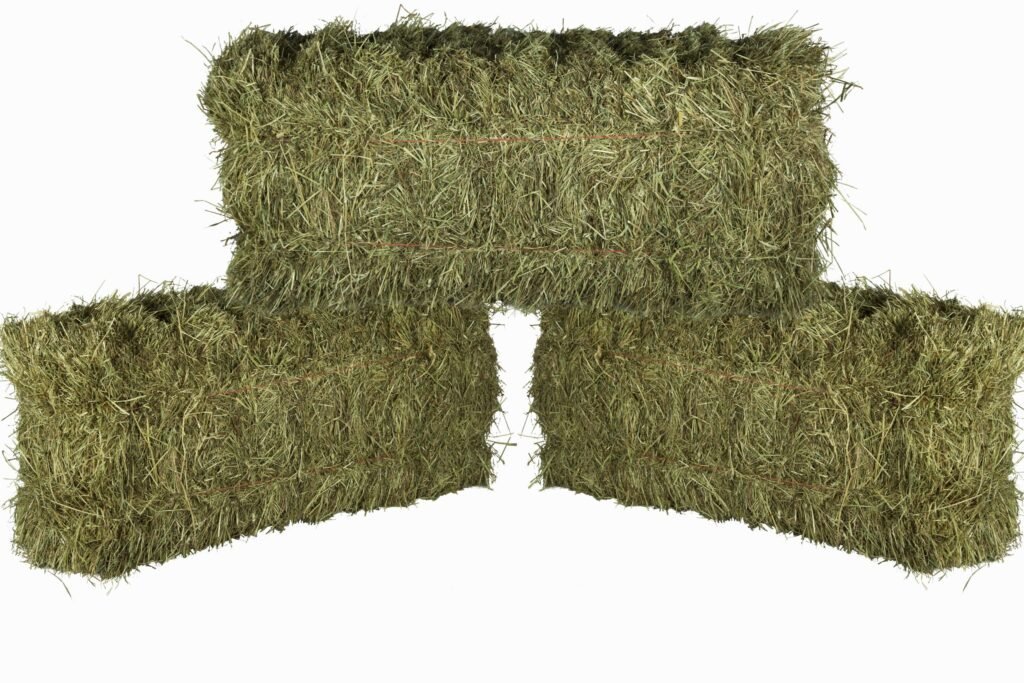 Buy Crau Hay in UAE - Zabeel Feed for sale worldwide - Global Equine Marketplace
