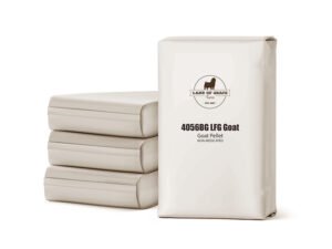 Cattle for Sale in the USA: Buyer’s Guide | Global Equine Marketplace