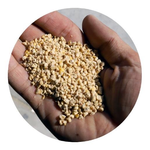 Cavalor vs Red Mills Horse Feed | Global Equine Marketplace