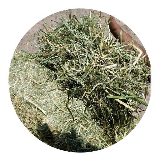 Emirates Factory Dry Cow Mix Feed - 40 kg — for sale worldwide | Global Equine Marketplace