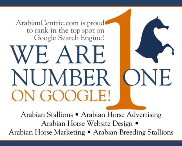 Erfolge & Schauvieh — for sale worldwide | Global Equine Marketplace