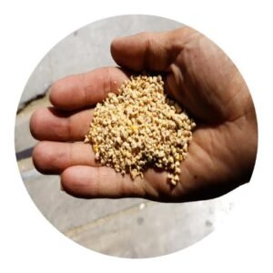 Green Horse Mix Feed - Green KWT — for sale worldwide | Global Equine Marketplace Green Horse Mix Feed - Green KWT — for sale worldwide | Global Equine Marketplace
