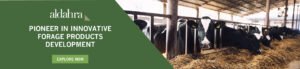 Hay Suppliers in Kuwait and the Gulf | Global Equine Marketplace