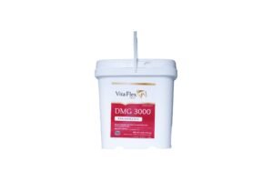 Horse Feed & Supplements in UAE for sale worldwide - Global Equine Marketplace Horse Feed & Supplements in UAE for sale worldwide - Global Equine Marketplace