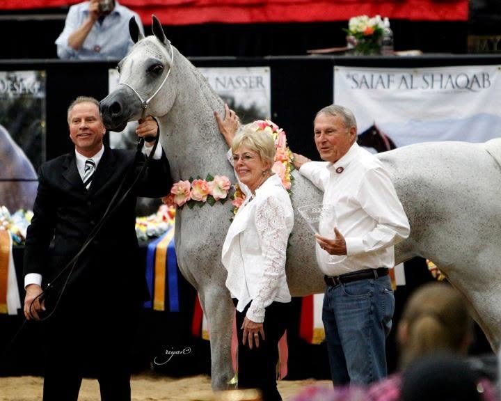 Horses for Sale in Alabama | Global Equine Marketplace