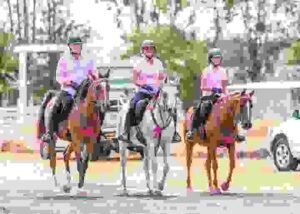 Horses for Sale in Colorado | Global Equine Marketplace