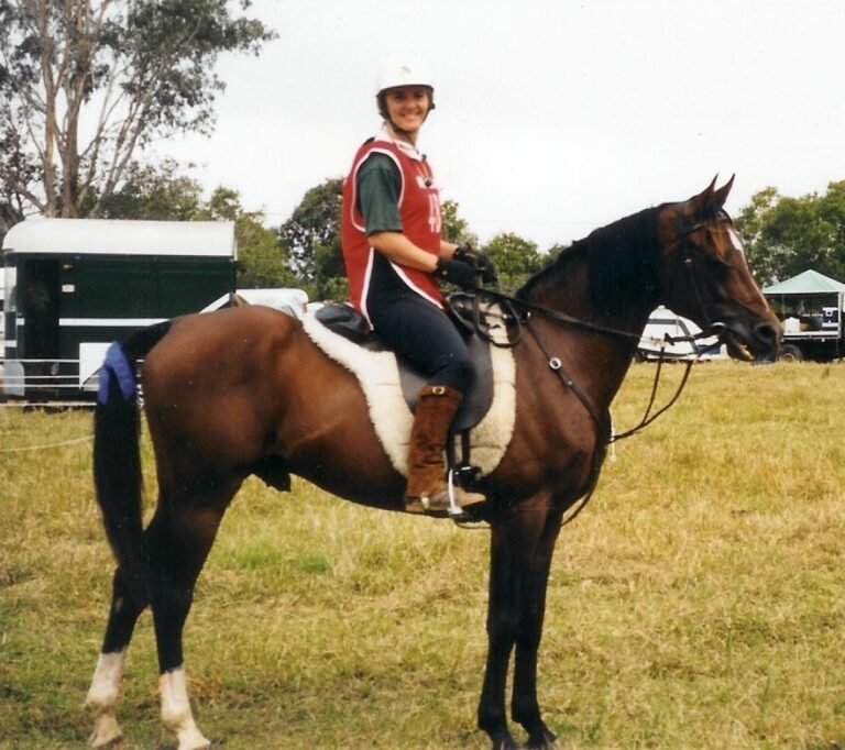 Horses for Sale in Dallas | Global Equine Marketplace