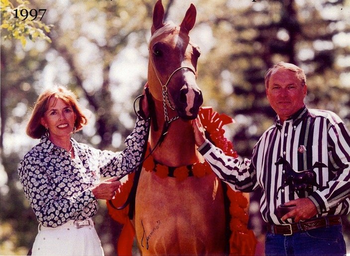 Horses for Sale in Missouri | Global Equine Marketplace