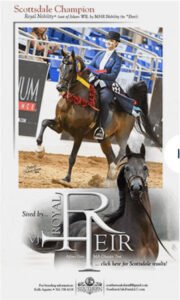 Horses for Sale in Wisconsin | Global Equine Marketplace