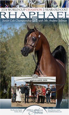 Horses for Sale in Wyoming | Global Equine Marketplace