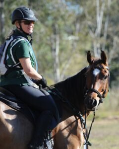 How to Find a Reputable Horse Seller | Global Equine Marketplace