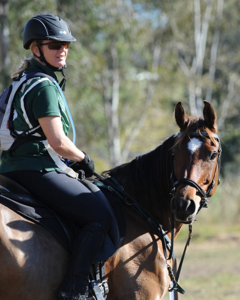 How to Find a Reputable Horse Seller | Global Equine Marketplace