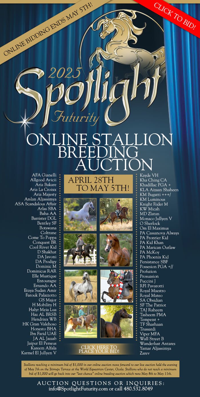 La mejor alimentación para caballos en Dubai — for sale worldwide | Global Equine Marketplace