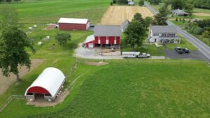 Land of Grace Farm - Boer Goat Breeder for sale worldwide - Global Equine Marketplace Land of Grace Farm - Boer Goat Breeder for sale worldwide - Global Equine Marketplace