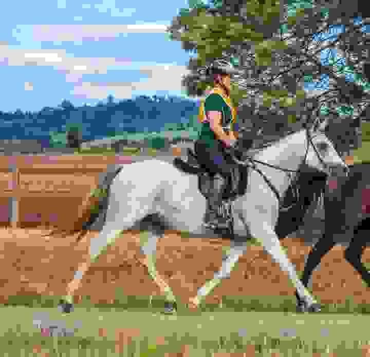 LeMieux Accessories: Buyer’s Guide | Global Equine Marketplace