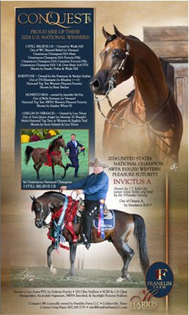 Logros y exhibición de ganado — for sale worldwide | Global Equine Marketplace