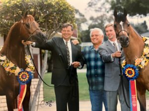 Los mejores proveedores de piensos para caballos en Qatar — for sale worldwide | Global Equine Marketplace