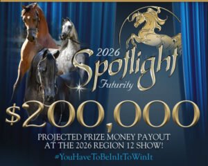 Melhor alimentação para cavalos em Dubai — for sale worldwide | Global Equine Marketplace Melhor alimentação para cavalos em Dubai — for sale worldwide | Global Equine Marketplace