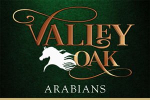 Melhores fornecedores de ração para cavalos no Catar — for sale worldwide | Global Equine Marketplac Melhores fornecedores de ração para cavalos no Catar — for sale worldwide | Global Equine Marketplace