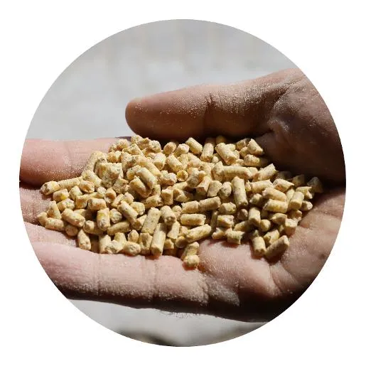 Organic Iodide Powder - Zabeel Feed — for sale worldwide | Global Equine Marketplace