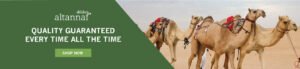 Poultry and Fish Feed: Farm Buyer’s Guide | Global Equine Marketplace
