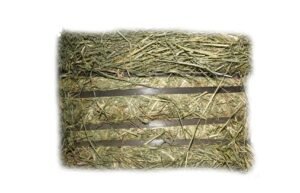 Rhodes Hay for sale worldwide - Global Equine Marketplace