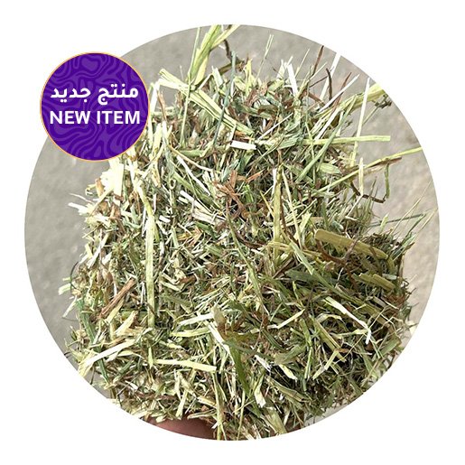 Shop - Zabeel Feed — for sale worldwide | Global Equine Marketplace Shop - Zabeel Feed — for sale worldwide | Global Equine Marketplace