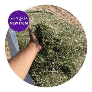 Shop - Zabeel Feed — for sale worldwide | Global Equine Marketplace