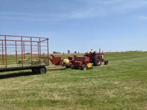 Starting a Livestock Farm: Business Guide | Global Equine Marketplace