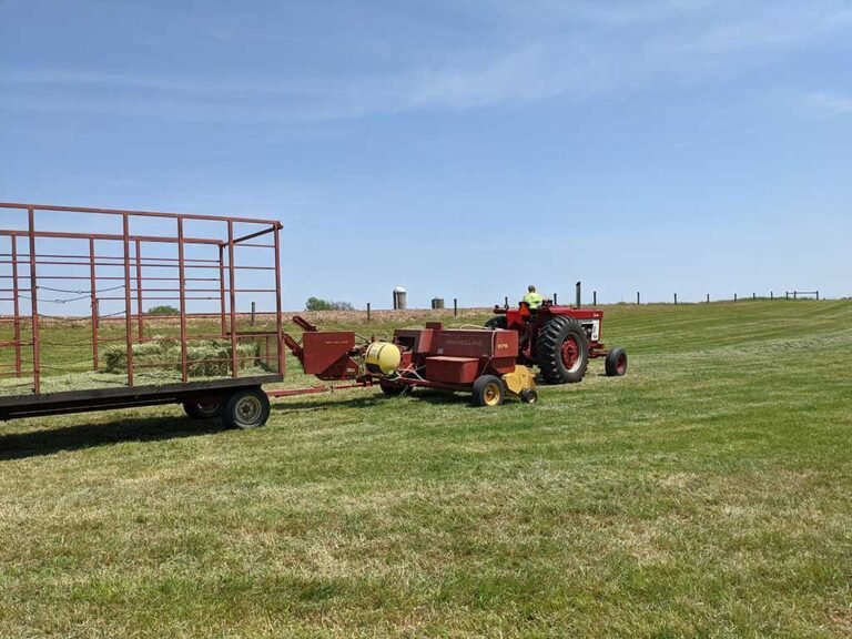 Starting a Livestock Farm: Business Guide | Global Equine Marketplace