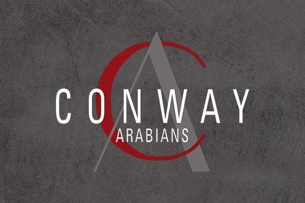 Straight Egyptian Arabian Bloodlines Explained | Global Equine Marketplace