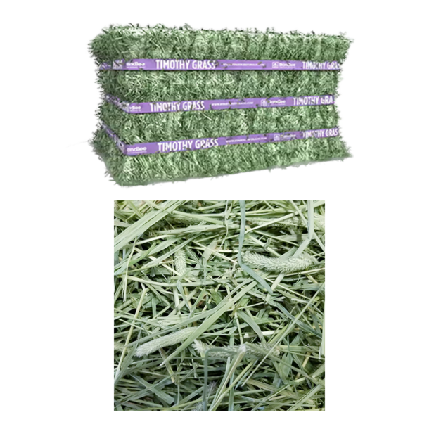 Timothy Hay - Green KWT for sale worldwide - Global Equine Marketplace